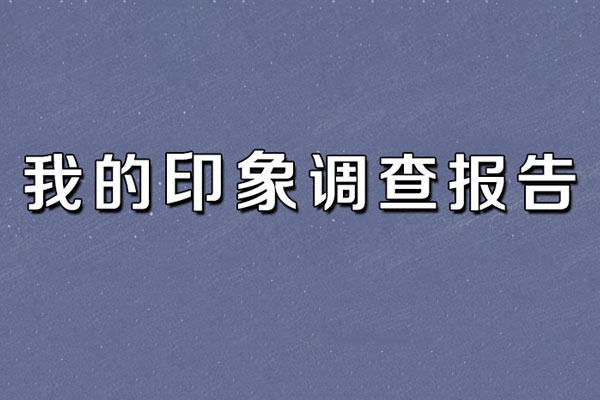 快来获取我的印象调查报告